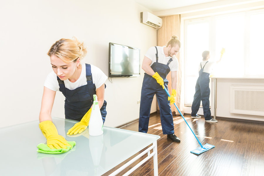 A1 Professional House Cleaning