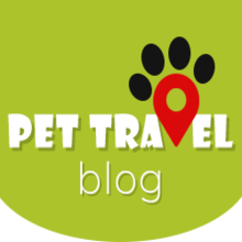 Pet Travel Blog