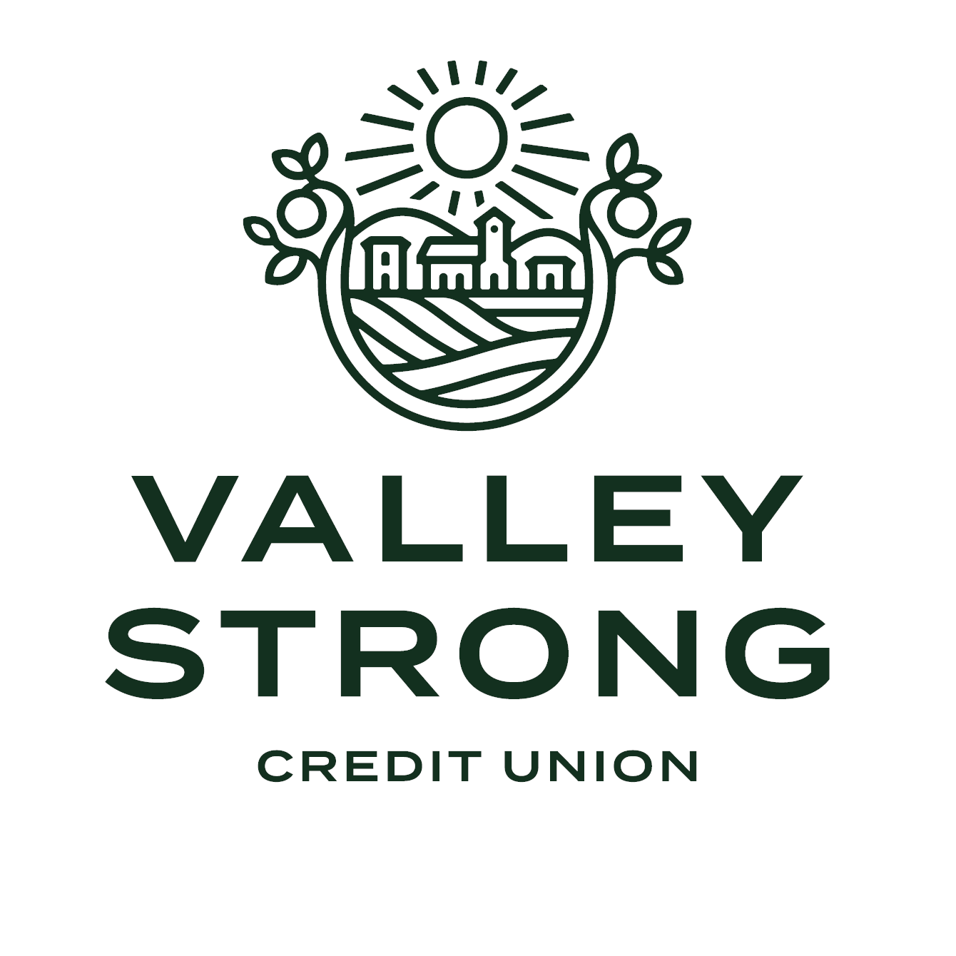 Valley Strong Credit Union (Mooney BLVD)