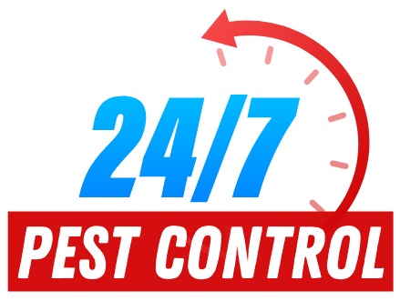 247 Pest Control