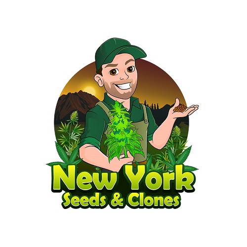 New York Seeds & Clones