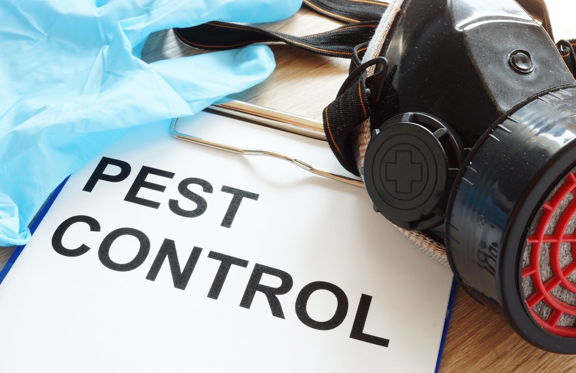 Dallas Pest Control Solutions