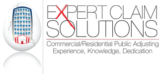 Expert Claim Solutions