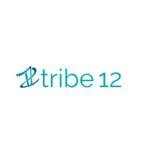 tribe 12