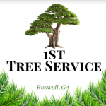 1st Tree Service
