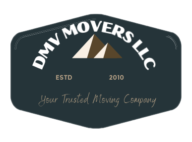 DMV MOVERS LLC