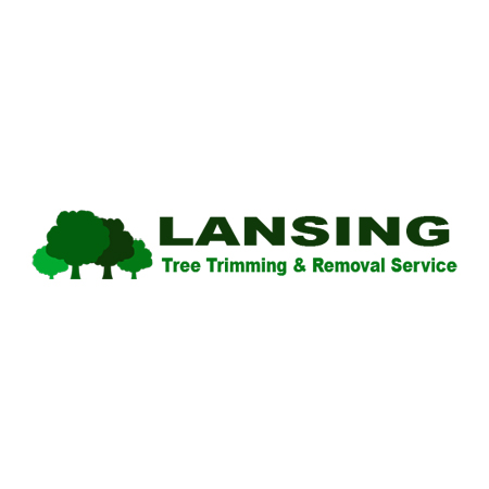 Lansing Tree Trimming & Removal Service