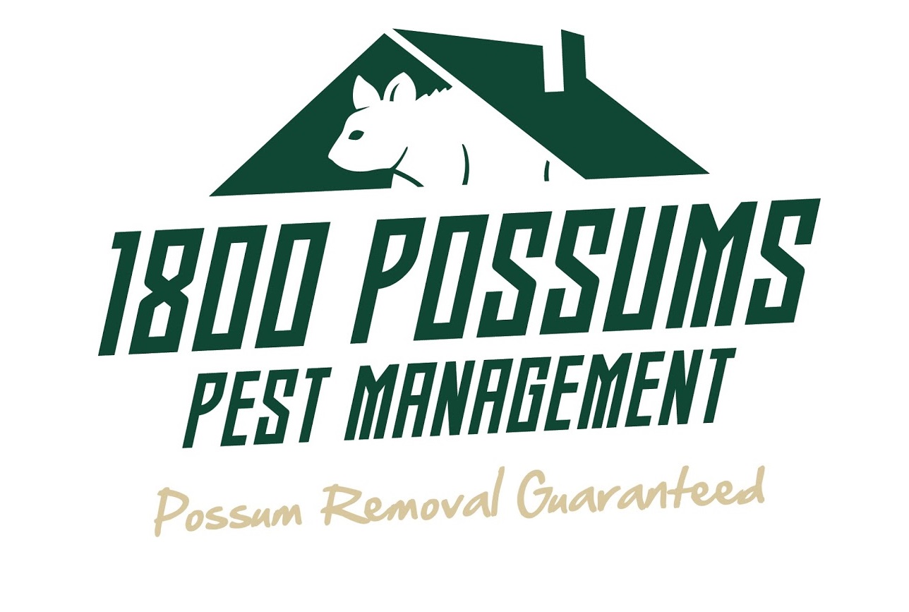 1800 Possums