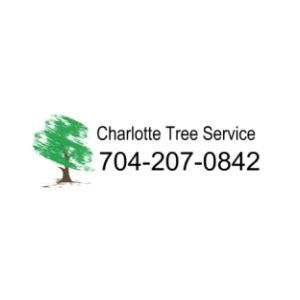 Treebien Tree Care