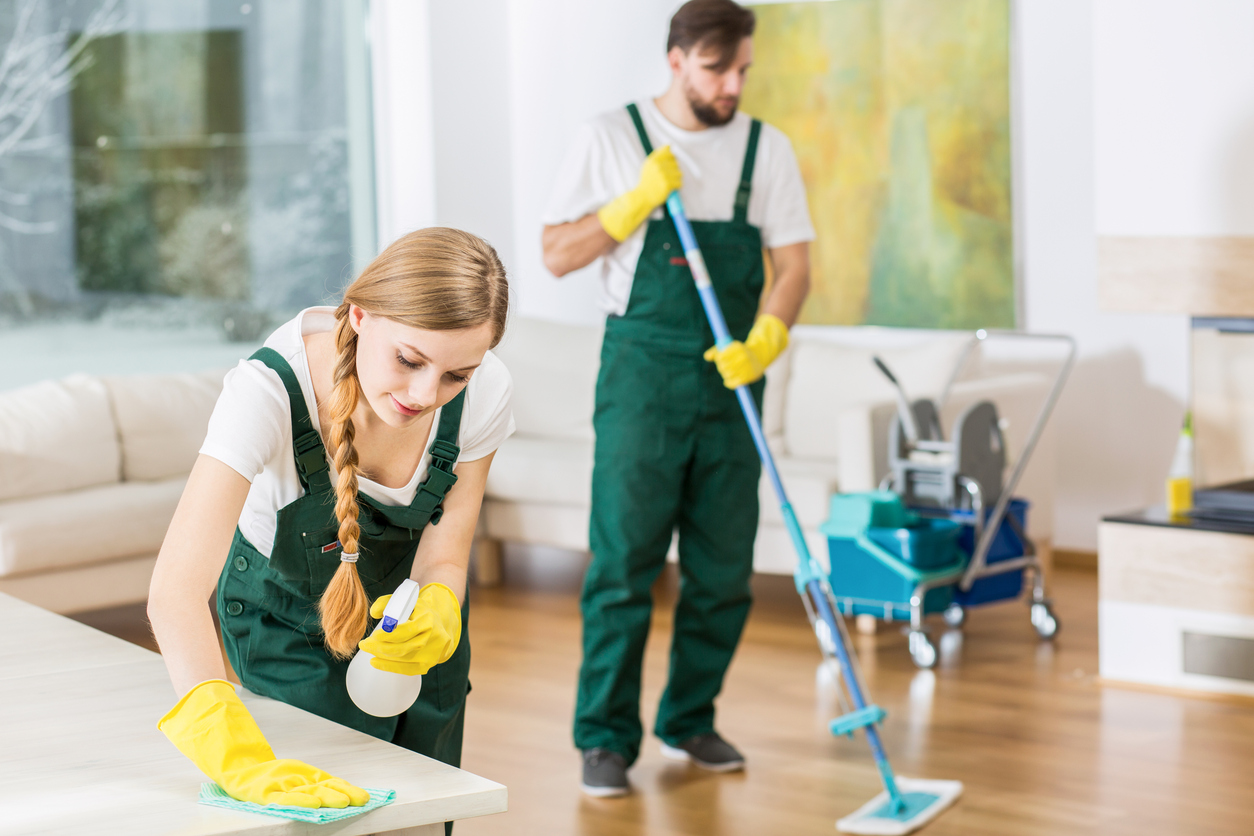 Majestic cleaning and painting service
