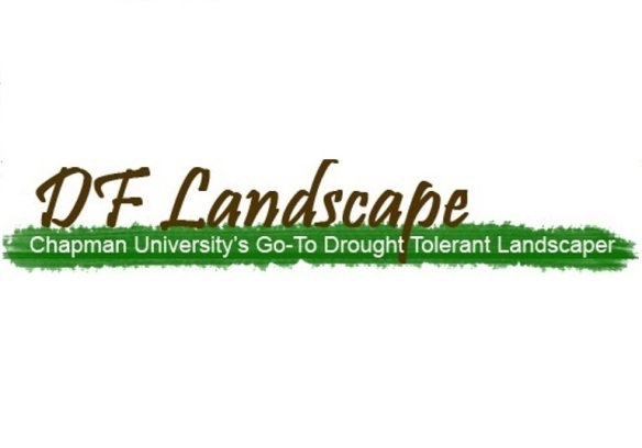 DF Landscape