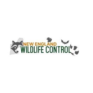 New England Wildlife Control