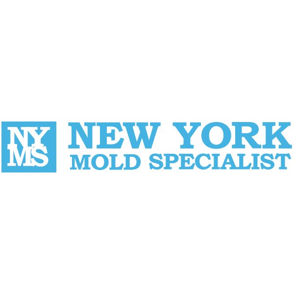 New York Mold Specialist