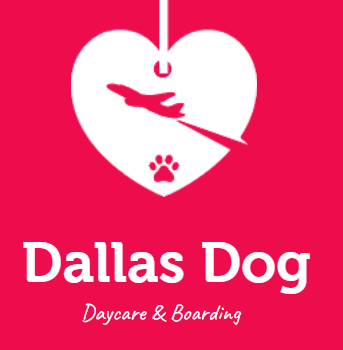 Dallas Dog Daycare