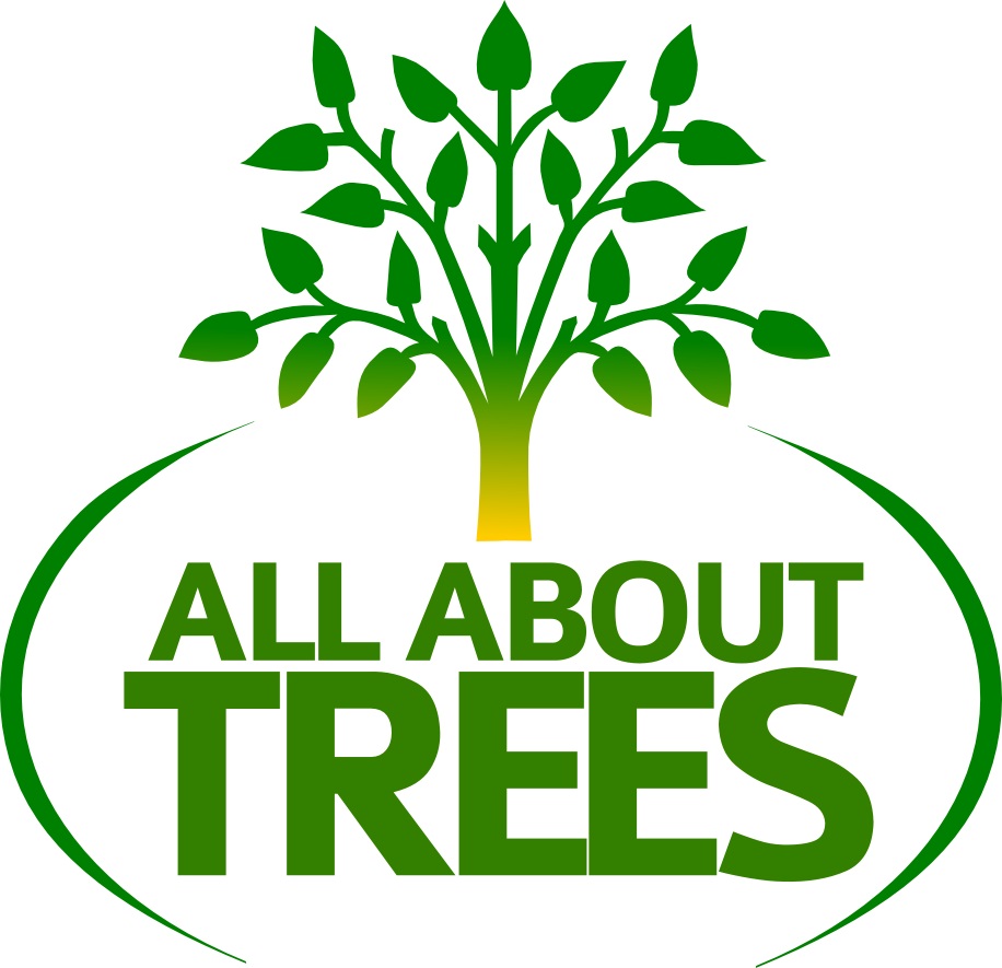 All About Trees