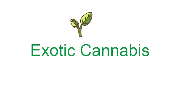 HHM DC Exotic Cannabis Delivery