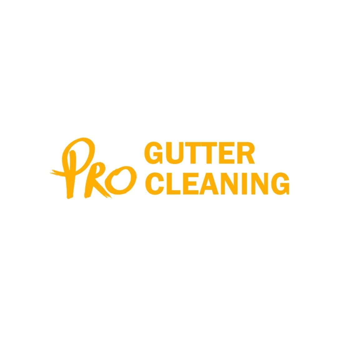 Pro Gutter Cleaning Melbourne