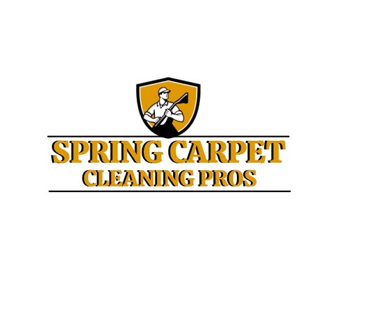 Spring Carpet Cleaning Pros
