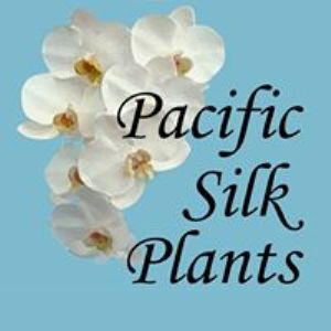 Pacific Silk Plants