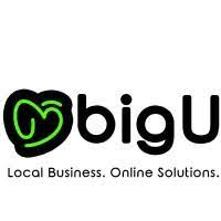 BigU-Digital Marketing Company in Ambala, Website Developer, SEO company in Ambala