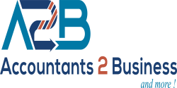 Accountants 2 Business