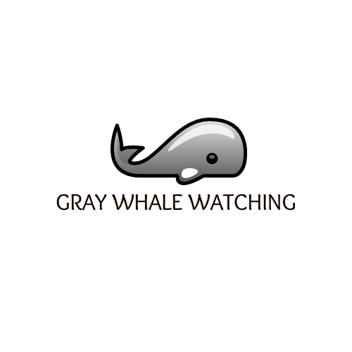 Graywhale Watching