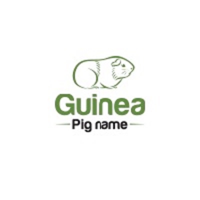 Guinea Pig Name