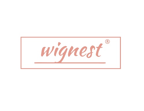 wigcase