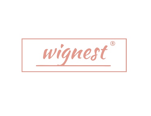 wigcase
