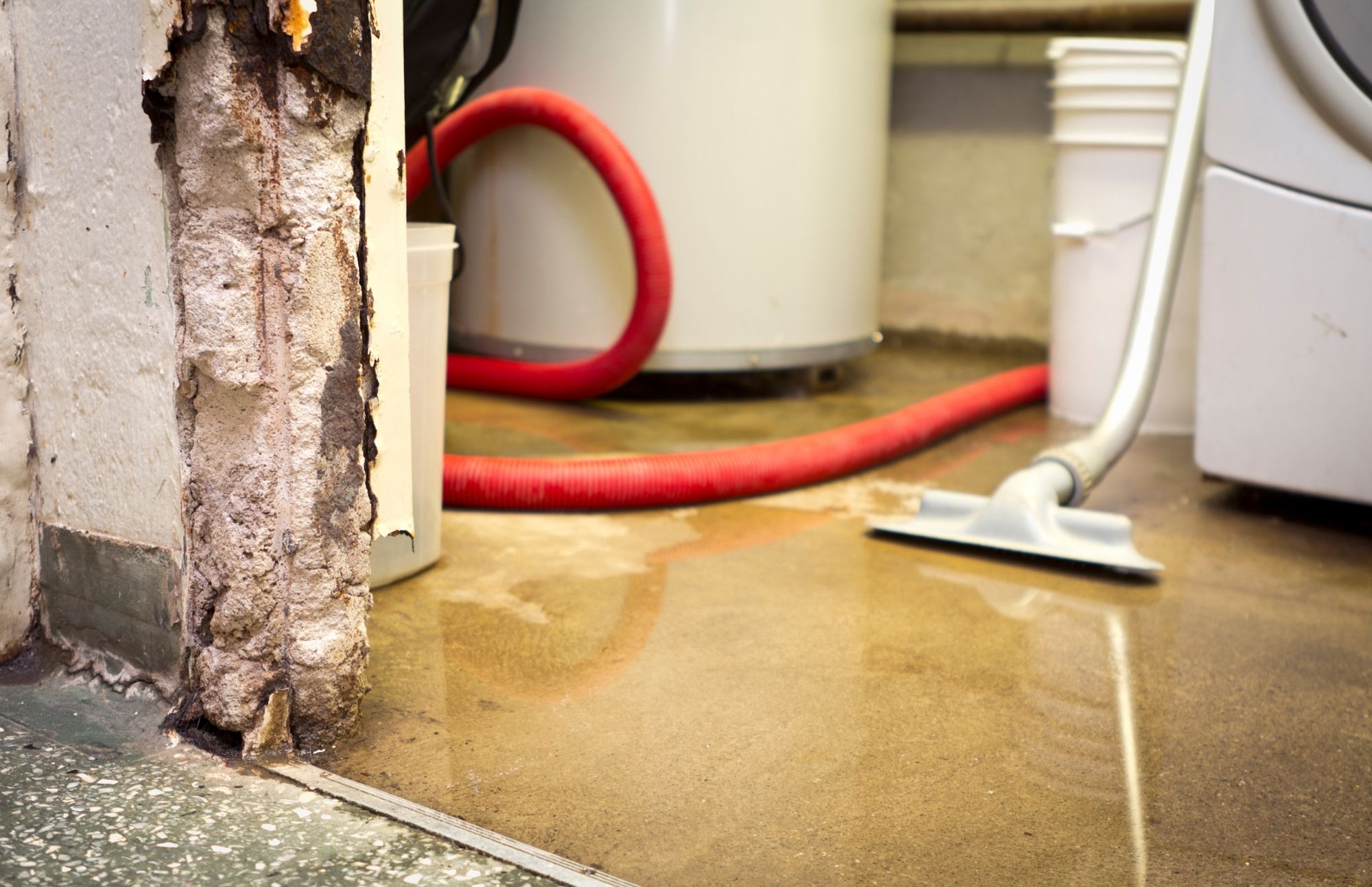 Water Damage Experts of New Smyrna Beach