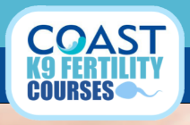 CoastK9 Fertility Courses Ltd