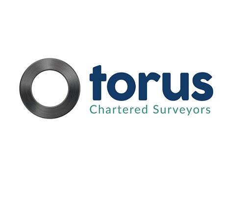 Torus Surveyors Ltd