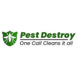 Pest Destroy Cockroach Control Adelaide