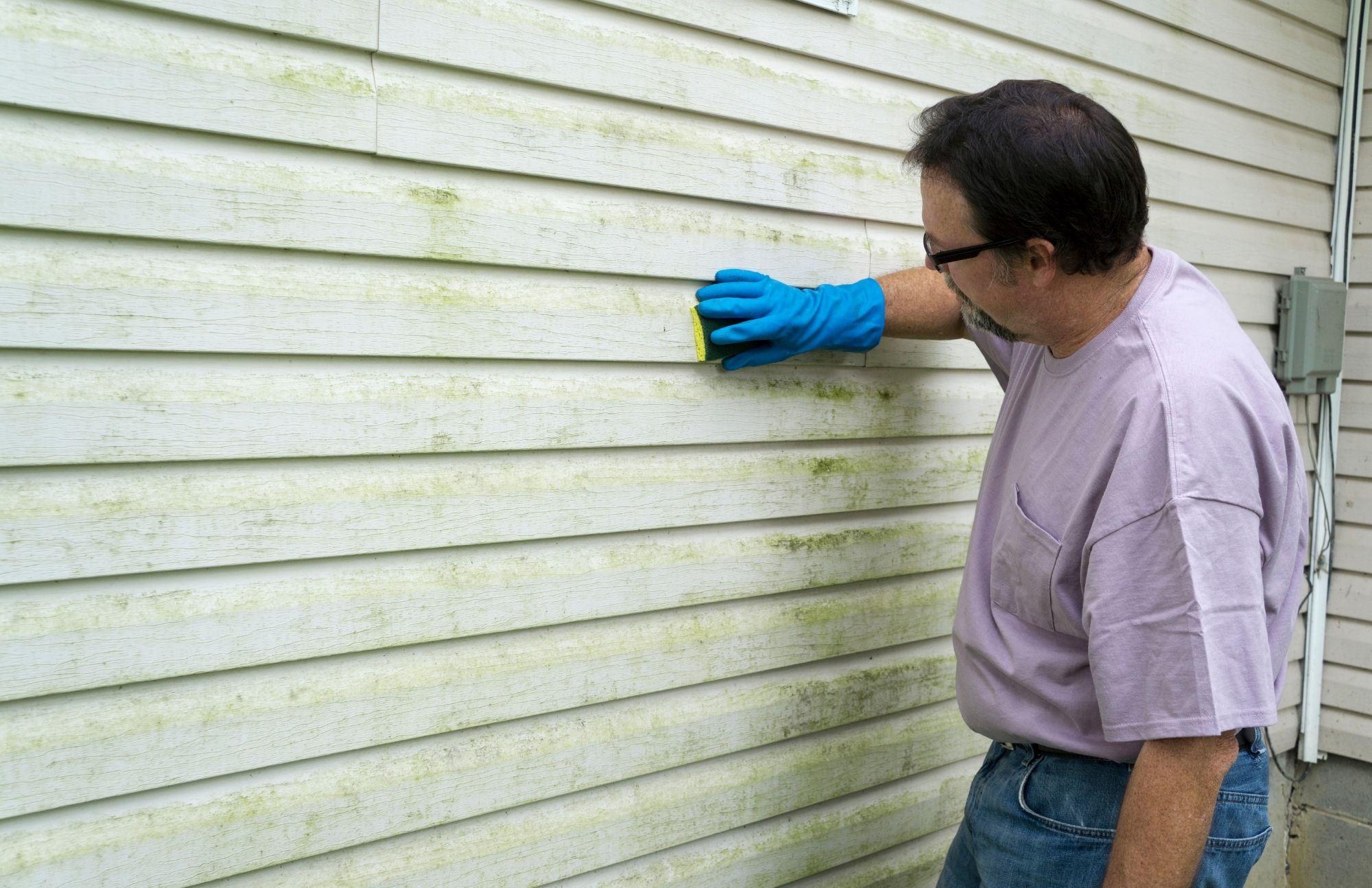 Grassland Mold Experts