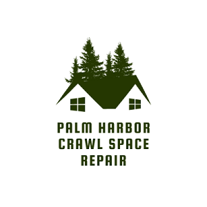 Palm Harbor Crawl Space Repair