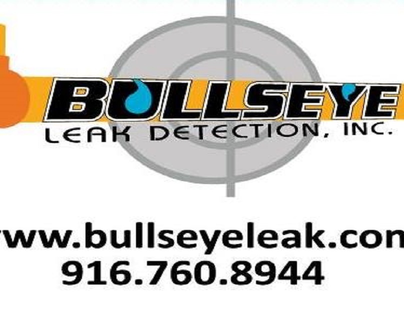 bullseyeleak