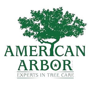 American Arbor, LLC