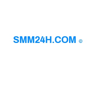 SMM Provider USA India Australia South Africa - SMM24H