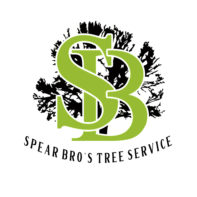 Spear Bro’s Tree Service