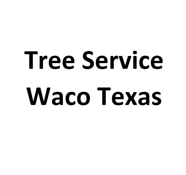 Tree Service Waco Texas