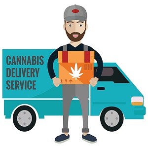 Fast marijuana delivery