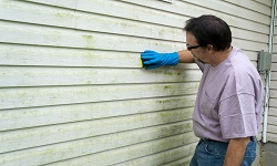 Lucie Mold Inspections