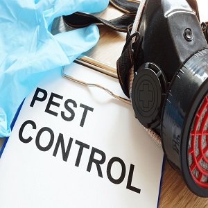 Pest Control Experts of Laurel Grove