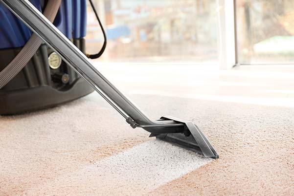 Carpet Cleaning Coorparoo