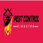 Pest Control Kingston