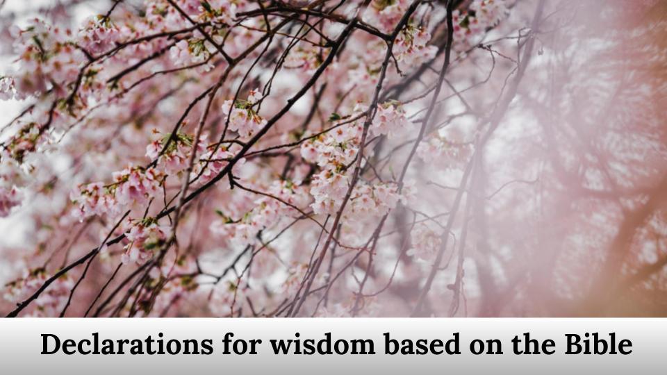 Declarations for wisdom based on the Bible