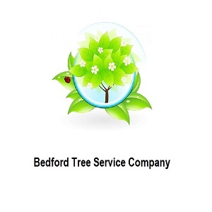 Bedford Tree Service Company