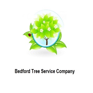 Bedford Tree Service Company