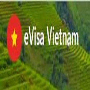 vietnamvisa-au.com