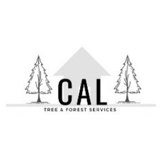 Grass Valley Tree Service Pros